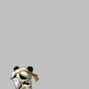 8884895b360d409ea3c085ad175e9e22