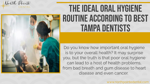 The Ideal Oral Hygiene Routine According to Best Tampa Dentists.jpg