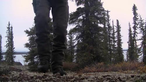 Alone.S07E01.Million.Dollar.Mistake.1080p.AMZN.WEB DL.DDP2.0.H.264 TEPES.mkv 20240104 215438.800.jpg
