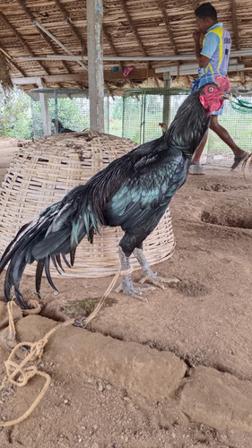 IMG 20240102 131020.jpg