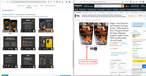 Screenshot 10.png
