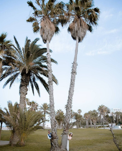 IMG 20240105 141346.jpg