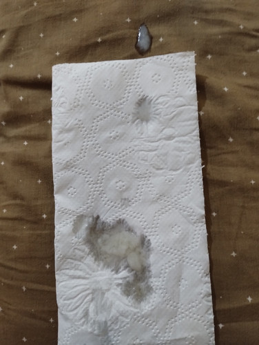 imgpsh fullsize anim (6).jpg