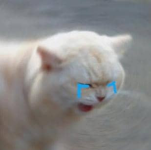 image.jpg