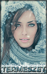 5.gif