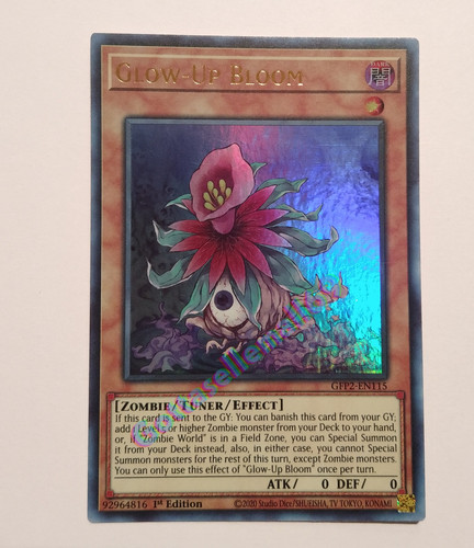 IMG 20231231 004931032.jpg