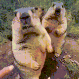微信图片 20230406192821.gif
