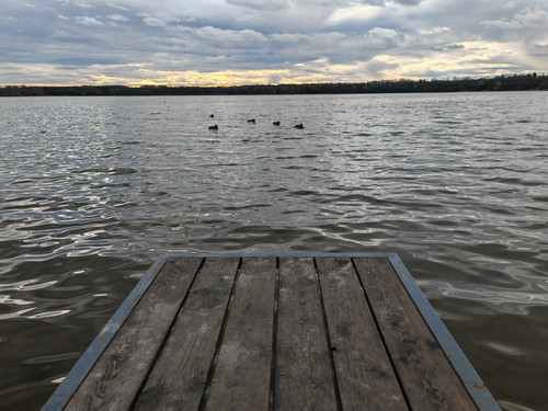 IMG 20240103 125612.jpg