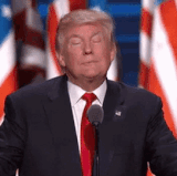 trump.3