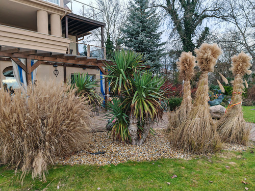 IMG 20240103 131734.jpg