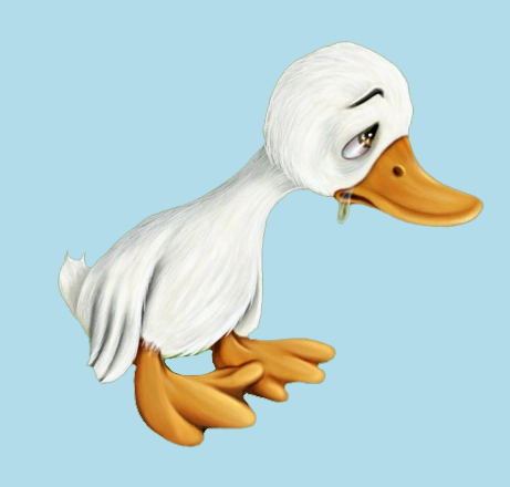 ördek.2
