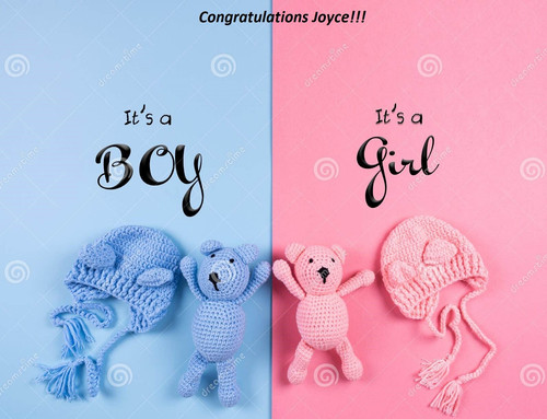 gender reveal party baby shower birthday invitation greeting card idea copy space decoration babies .jpg