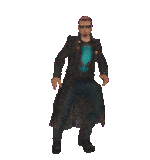 IMG 7402.gif