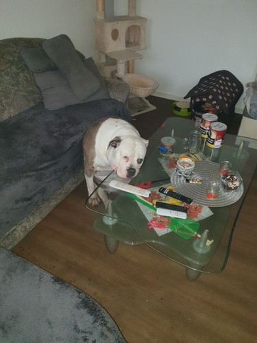 Alma wartet auf mich.jpg