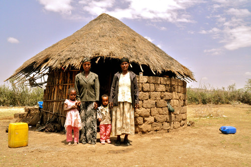 Wissen Länderinfo Äthiopien StrauchKNH85912.jpg