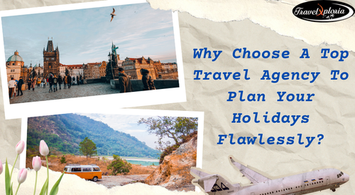The Benefits Of Choosing A Top Travel Agency For Your Holiday Planning.png