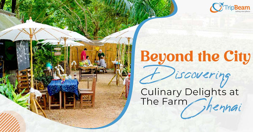 Beyond the City Discovering Culinary Delights at The Farm Chennai (1)