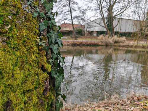 IMG 20240105 132437.jpg