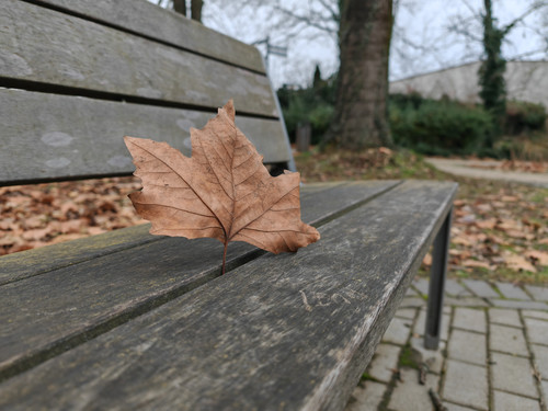 IMG 20240105 131809.jpg