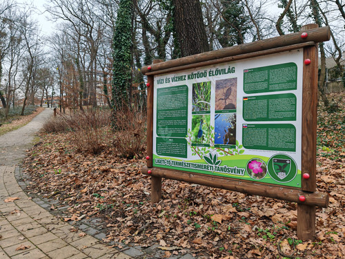 IMG 20240105 132245.jpg