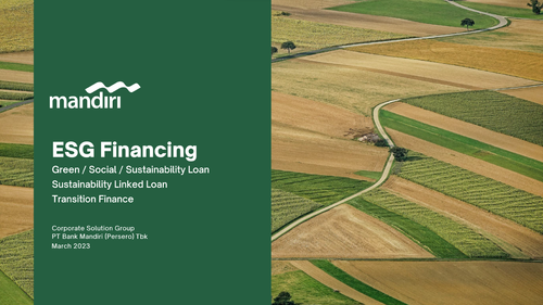 Sustainable Financing Handbook.png