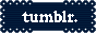 IMG 8236.png