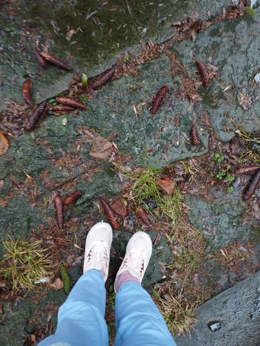IMG 20240104 112942.jpg