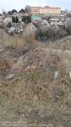 41.70429, 44.81001 04012024 130426 edit 456094594695646.jpg