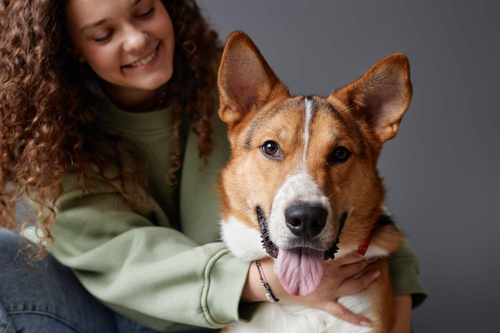 Winter Wellness 7 Easy Steps to Protect Your Pets from Allergies.png