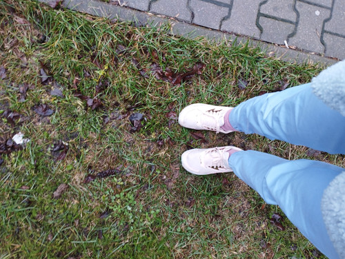 IMG 20240104 112004.jpg