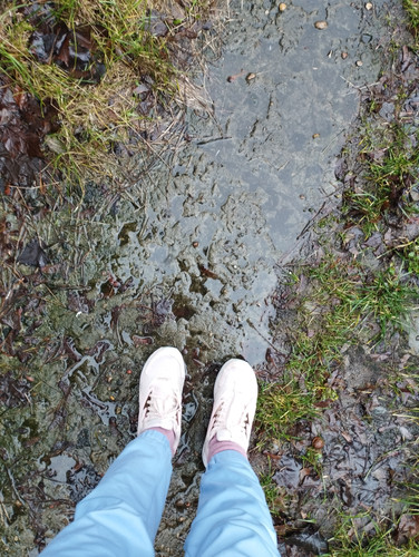 IMG 20240104 111747.jpg