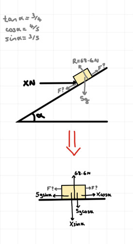 IMG 4578.1