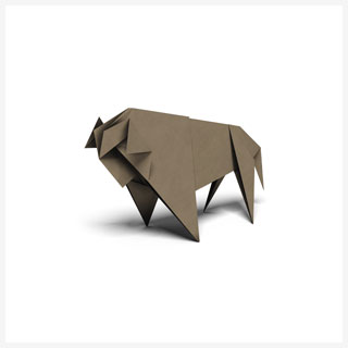 bison.2