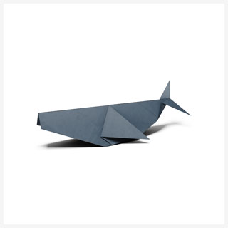 whale.2