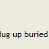 Saturday May 11 2024