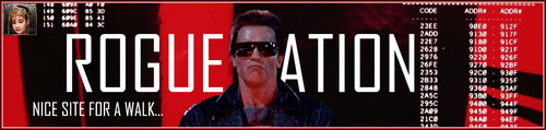 NiceS Banner.jpg