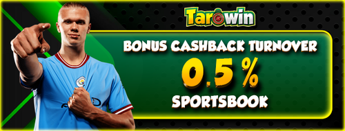 TAROWIN PROMO4.png