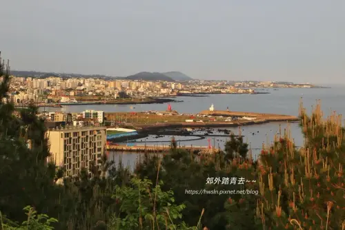 00014 俯瞰道頭港.webp