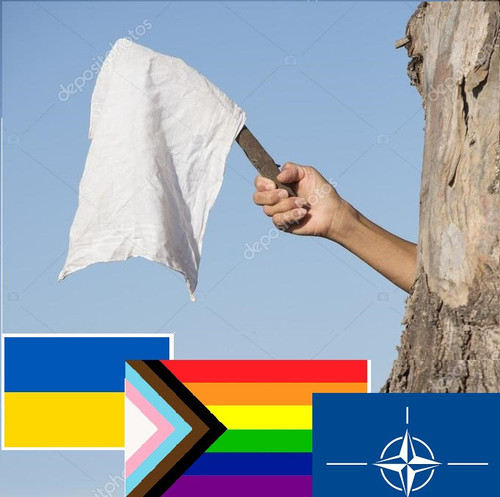 depositphotos 60563783 stock photo hand with white flag as