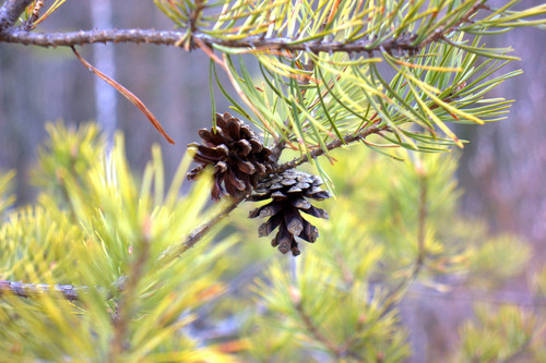 IMG 1443.jpg