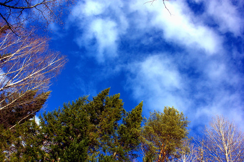 IMG 1457.jpg