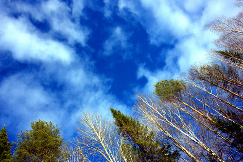 IMG 1458.jpg