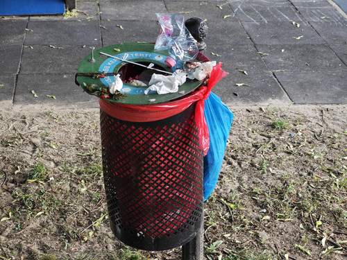 IMG 20240512 070548.jpg