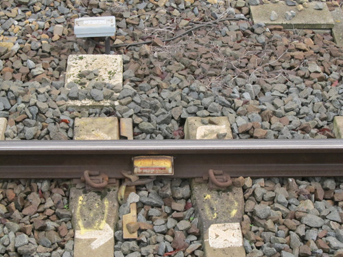 TussenDeRails1 20111129.jpg