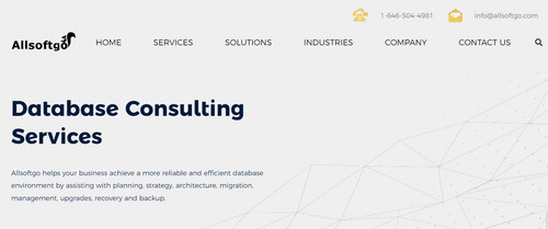 Database Consulting Services Allsoftgo.jpg