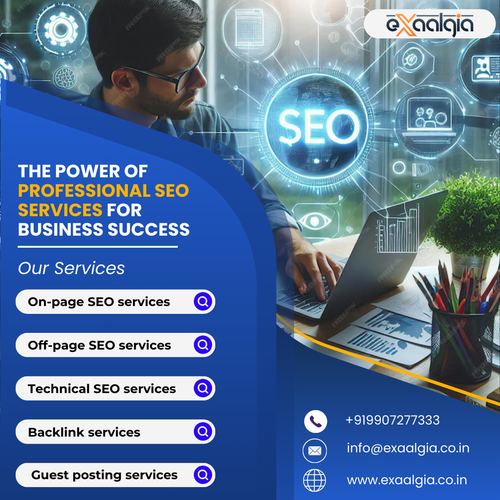 professional seo services.png