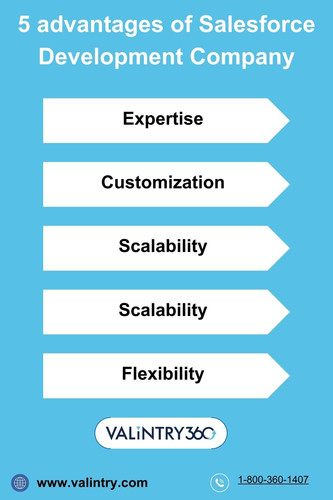 Salesforce Development Company.jpg
