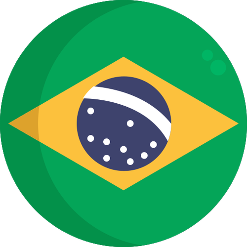 brazil flag.png