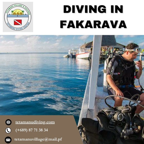 Dive Into a Kaleidoscope of Life by Diving in Fakarava.jpg