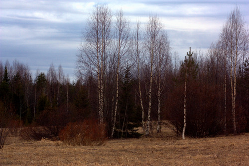 IMG 1537.jpg